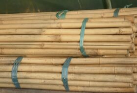 Bamboestokken naturel tot Ø 3cm